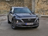 Hyundai Santa Fe Level 6 2,2 CRDI 4WD AT 7-Sitzer (c) Stefan Gruber