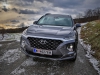 Hyundai Santa Fe Level 6 2,2 CRDI 4WD AT 7-Sitzer (c) Stefan Gruber