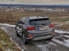 Hyundai Santa Fe Level 6 2,2 CRDI 4WD AT 7-Sitzer (c) Stefan Gruber