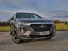 Hyundai Santa Fe Level 6 2,2 CRDI 4WD AT 7-Sitzer (c) Stefan Gruber