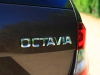 Skoda Octavia Combi 4x4 Style TDI DSG (c) Rainer Lustig