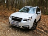 Subaru Forester 2,0i Premium AWD (c) Stefan Gruber