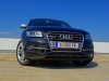 Audi SQ5 TDI (c) Stefan Gruber