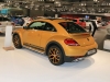 VW Beetle Dune (c) Stefan Gruber