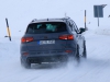 Cupra Snow Experience 2020 (c) Stefan Gruber