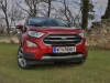Ford EcoSport 1,0 EcoBoost 125 PS AT Titanium (c) Stefan Gruber