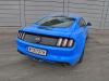 Ford Mustang Fastback 5,0 GT Blue Edition (c) Stefan Gruber