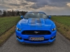Ford Mustang Fastback 5,0 GT Blue Edition (c) Stefan Gruber
