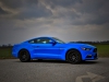 Ford Mustang Fastback 5,0 GT Blue Edition (c) Stefan Gruber