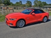 Ford Mustang V8 AT Cabrio (c) Stefan Gruber