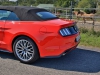 Ford Mustang V8 AT Cabrio (c) Stefan Gruber
