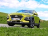Hyundai Kona Hybrid (c) Stefan Gruber