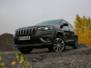 Jeep Cherokee 2,2 CRDi AWD 9AT Oberland (c) Stefan Gruber