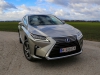 Lexus RX 450h L President (c) Stefan Gruber