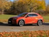 Lexus UX 250h F Sport E-Four (c) Stefan Gruber