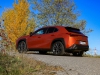 Lexus UX 250h F Sport E-Four (c) Stefan Gruber