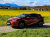 Lexus UX 250h F Sport E-Four (c) Stefan Gruber