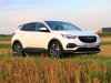 Opel Grandland X Ultimate (c) Rainer Lustig