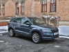 Skoda Karoq Style 2,0 TDI 4x4 (c) Stefan Gruber