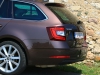 Skoda Octavia Combi 4x4 Style TDI DSG (c) Rainer Lustig