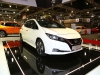 Nissan Leaf (c) Stefan Gruber