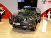 Toyota Land Cruiser (c) Stefan Gruber