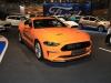Ford Mustang (c) Stefan Gruber