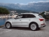 Audi Q5 Hybrid Quattro (c) Audi