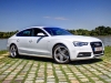 Audi A5 Sportback 3,0 TDI quattro (c) Stefan Gruber