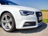 Audi A5 Sportback 3,0 TDI quattro (c) Stefan Gruber