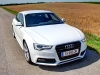 Audi A5 Sportback 3,0 TDI quattro (c) Stefan Gruber