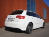 Audi RS3 Sportback (c) Stefan Gruber