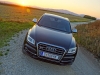 Audi SQ5 TDI (c) Stefan Gruber