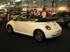 VW Beetle Cabrio (c) Stefan Gruber