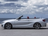 BMW 2er Cabrio (c) BMW