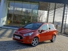 Ford B-Max 1,6 TDCi Titanium (c) Stefan Gruber