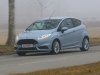 Ford Fiesta ST 200 (c) Dr. Marianne Skarics-Gruber