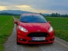 Ford Fiesta ST 1,6 EcoBoost (c) Stefan Gruber