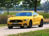 Ford Mustang (c) Dr. Marianne Skarics-Gruber