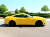 Ford Mustang (c) Dr. Marianne Skarics-Gruber