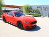 Ford Mustang (c) Stefan Gruber
