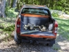 Ford Ranger (c) Ford