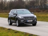 Hyundai Santa Fe Platin 2,2 CRDi 4WD AT (c) Stefan Gruber