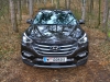 Hyundai Santa Fe Platin 2,2 CRDi 4WD AT (c) Stefan Gruber
