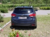 Kia Carens 1,7 CRDi DCT7 Platin (c) Stefan Gruber
