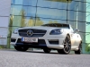 Mercedes SLK 55 AMG (c) Stefan Gruber