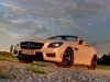 Mercedes SLK 55 AMG (c) Stefan Gruber