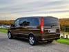 Mercedes Vito Shuttle 116 CDI (c) Stefan Gruber