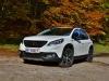 Peugeot 2008 GT-Line 1,6 BlueHDi 120 (c) Stefan Gruber
