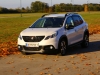 Peugeot 2008 GT-Line 1,6 BlueHDi 120 (c) Dr. Marianne Skarics-Gruber